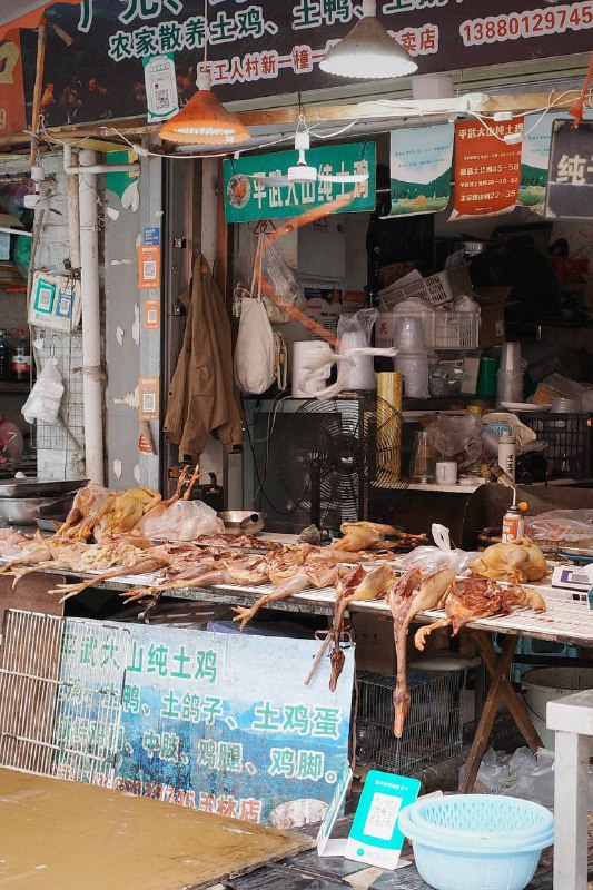 在玉林路的街头走一走在玉林路的街头走一走