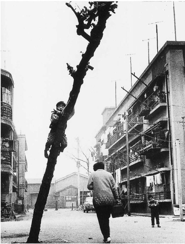 #荒木经惟 #摄影#荒木经惟 #摄影