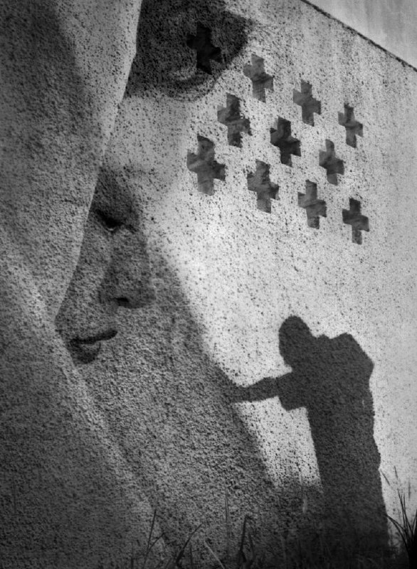 何藩（1933年8月8日-2016年6月19日），出生于上海，1949年迁居香港，大学就读于香港中文大学新亚书院